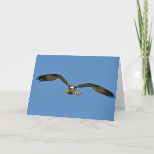 Osprey Soars Mot ditt bildkonst-kort Kort