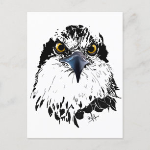Osprey Teckning Black White med Piercing Öga Helg Vykort
