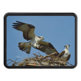 Ospreys Hawks flygkapsel Hitch Cover Dragkroksskydd