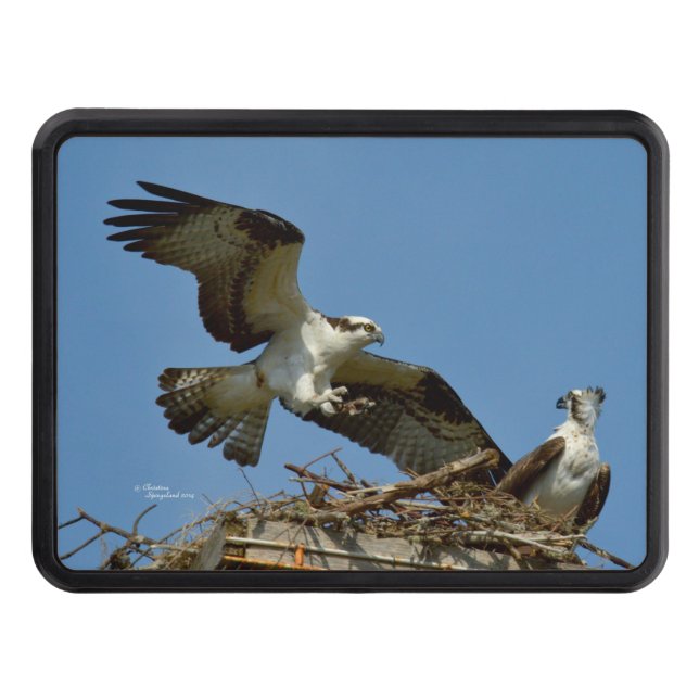 Ospreys Hawks flygkapsel Hitch Cover Dragkroksskydd (Framsidan)