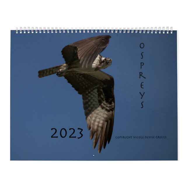 Ospreys i 2023 års kalender (Omslag)