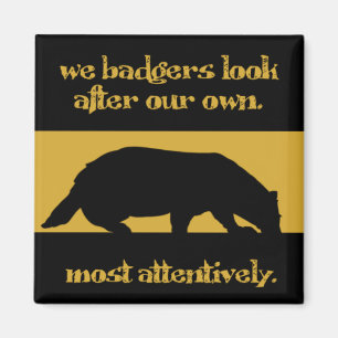 oss bäverskinn magnet