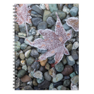 Oss, Wa, Bainbridge Island. Tidig morgonfrost 2 Anteckningsbok