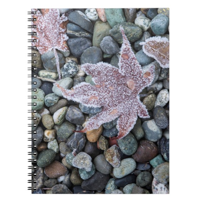 Oss, Wa, Bainbridge Island. Tidig morgonfrost 2 Anteckningsbok (Framsidan)