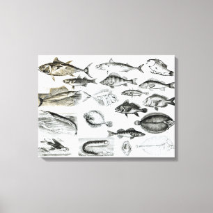 Osseous fiskar för Ichthyology Canvastryck