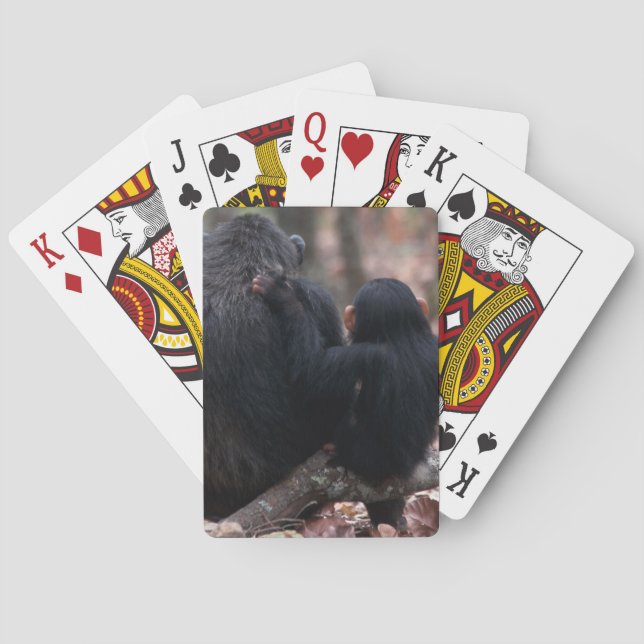 Östafrika, Tanzania Casinokort (Baksidan)