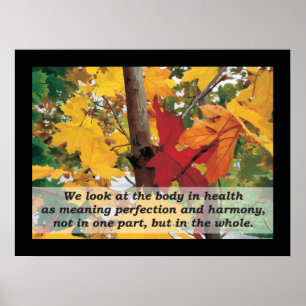 Osteopathic harmonicitationstecken vid A.T. Poster