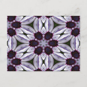 Osteospermum-Abstrakt Vykort
