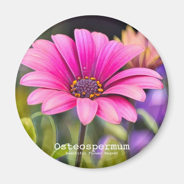Osteospermum Magnet (Framsidan)