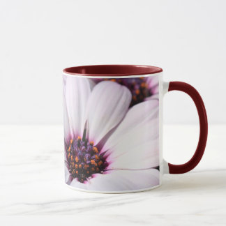 Osteospermum Mugg