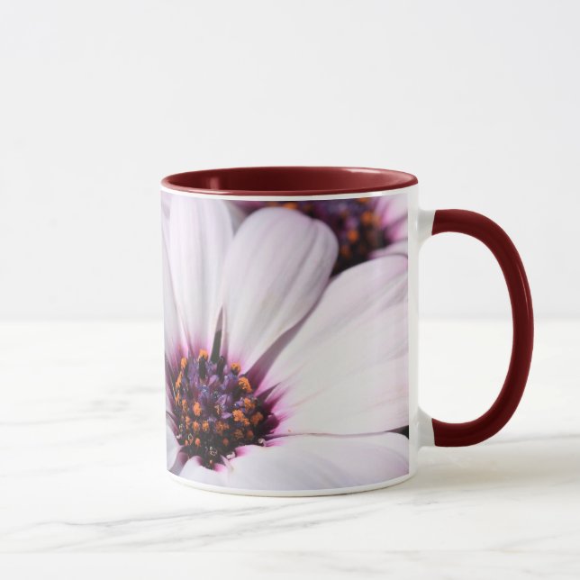 Osteospermum Mugg (Höger)