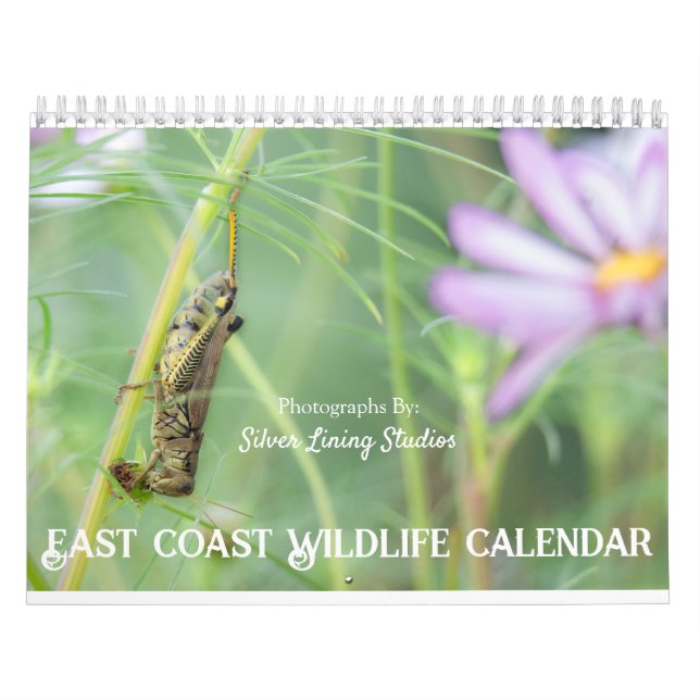 Öster Kusten Wildlife Calendar Kalender (Omslag)