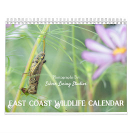 Öster Kusten Wildlife Calendar Kalender