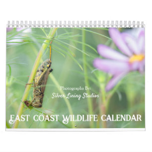 Öster Kusten Wildlife Calendar Kalender