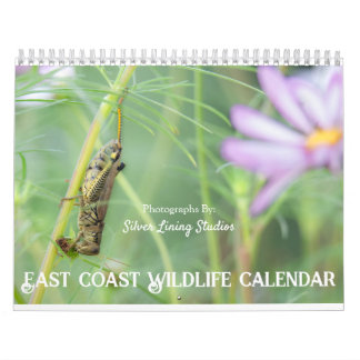 Öster Kusten Wildlife Calendar Kalender
