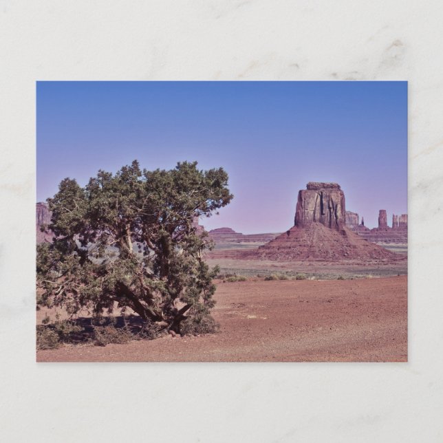 Öster Mitten Bute Vykort (Framsida)