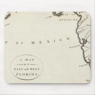 Öster och Väster Florida Musmatta