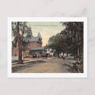 Öster Park Ave., Tallahassee, Florida Vintage Vykort