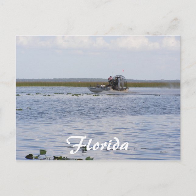 Öster Sjö, Florida Vykort (Framsida)