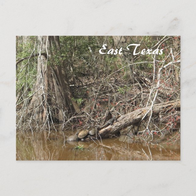 Öster Texas vykort (Framsida)