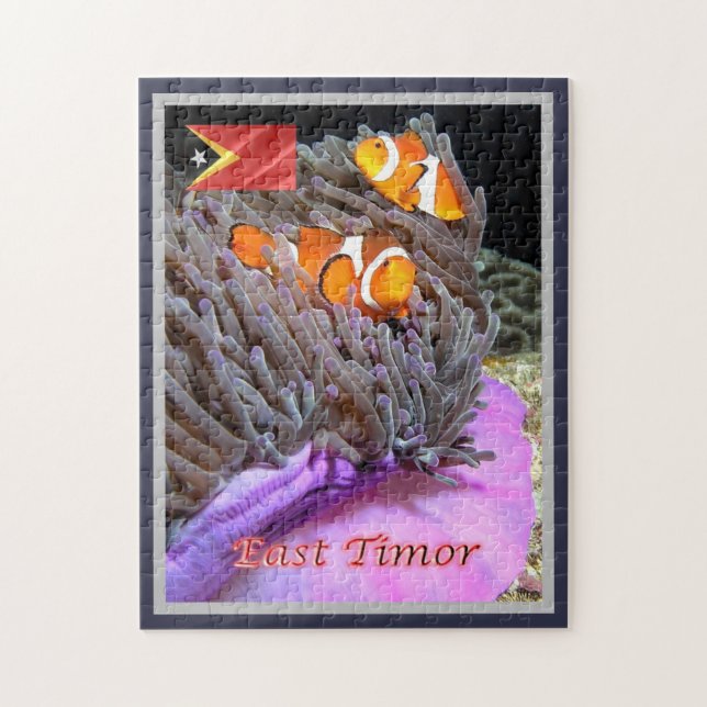Öster Timor - Anemonefish - Pussel (Vertikal)