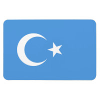 Öster Turkestan Uyghur Flagga
