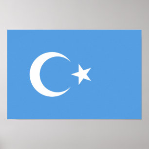 Öster Turkestan Uyghur Flagga Poster