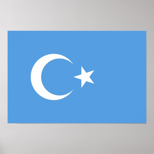 Öster Turkestan Uyghur Flagga Poster (Framsidan)