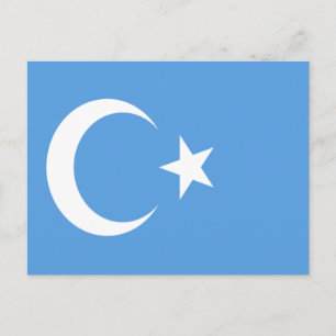 Öster Turkestan Uyghur Flagga Vykort