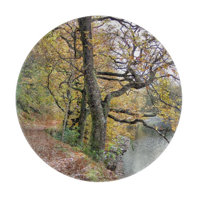 ÖSTERN AV SJÖ (Framsidan)