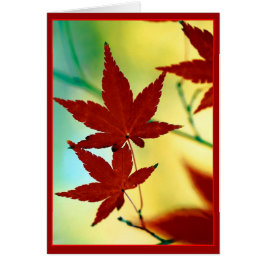 ÖSTERN ÖNSKEMÅL HÄLSNINGSKORT