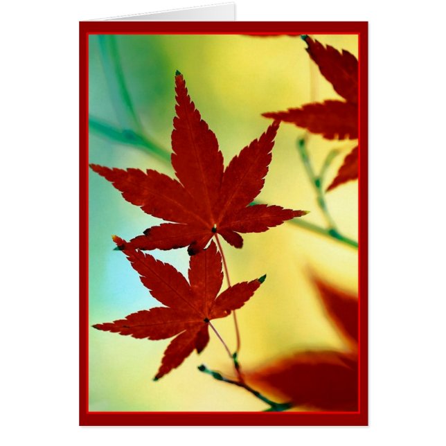 ÖSTERN ÖNSKEMÅL HÄLSNINGSKORT (Framsidan)