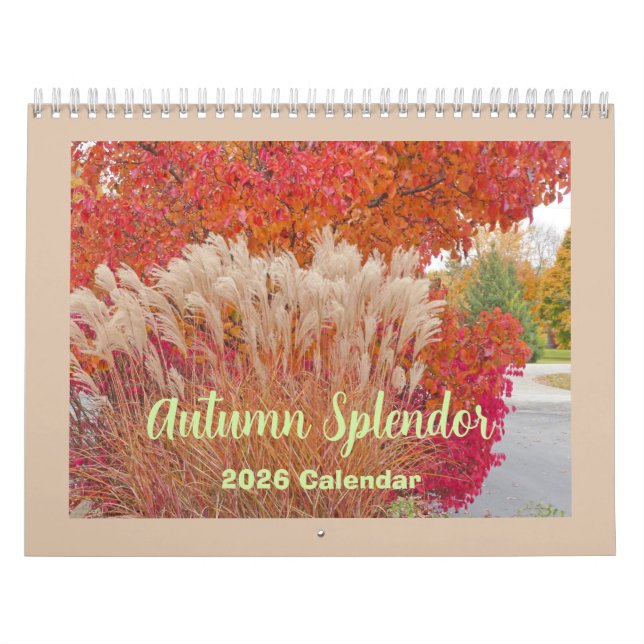 "ÖSTERN SPLENDOR" 12 MÅNADER 2026 KALENDER (Omslag)