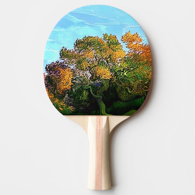 ÖSTERN TRÄD PINGISRACKET (Framsidan)