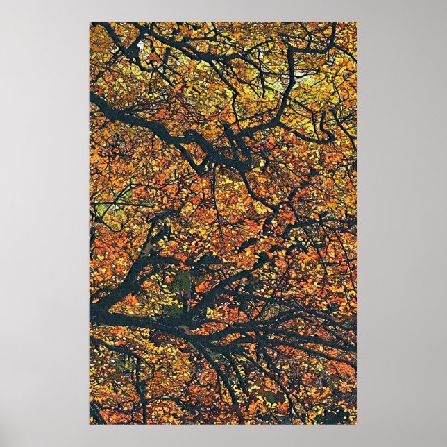 ÖSTERN TRÄD POSTER (Framsidan)