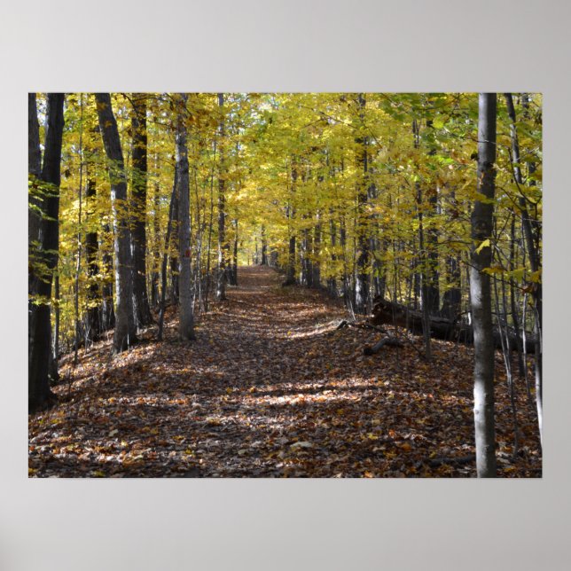 ÖSTERN TRAIL. POSTER (Framsidan)