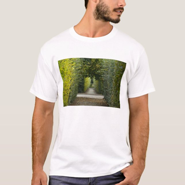 Österrike, Wien. Maria Theresias barock 2 Tee (Framsida)