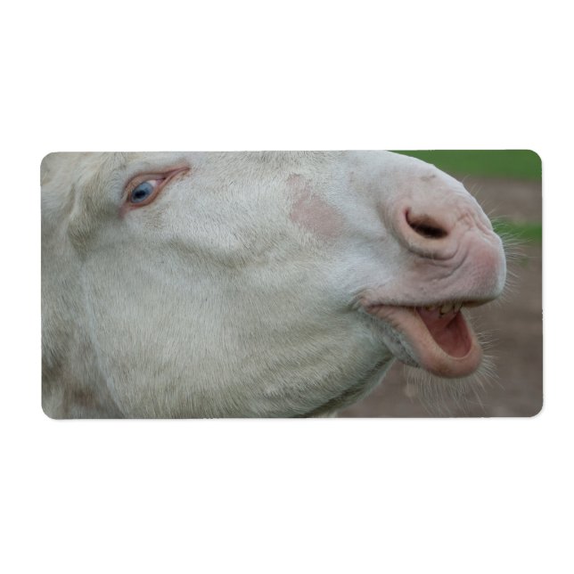 Österrikes-Ungerns White Donkey Fraktsedel (Framsidan)