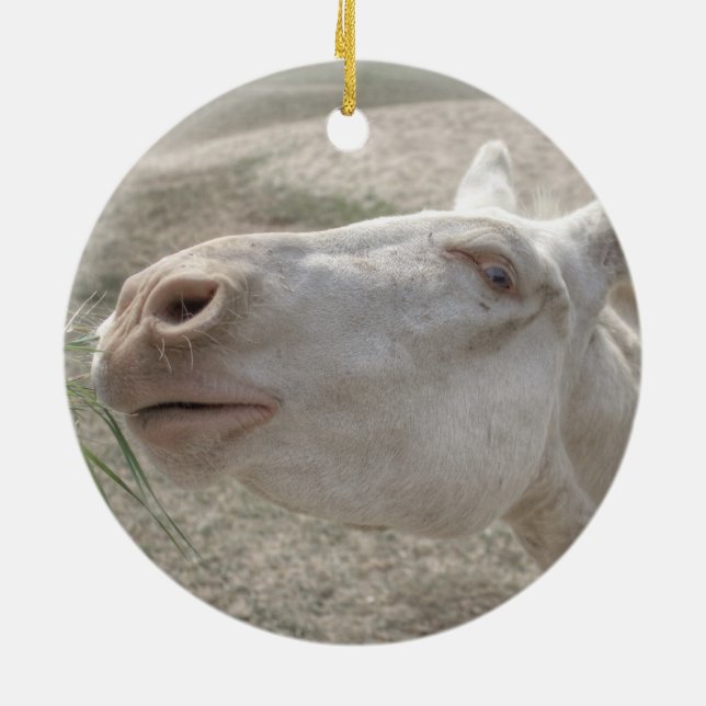 Österrikes-ungersk White Donkey Julgransprydnad Keramik (Baksidan)