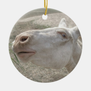 Österrikes-ungersk White Donkey Julgransprydnad Keramik