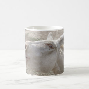 Österrikes-ungersk White Donkey Kaffemugg