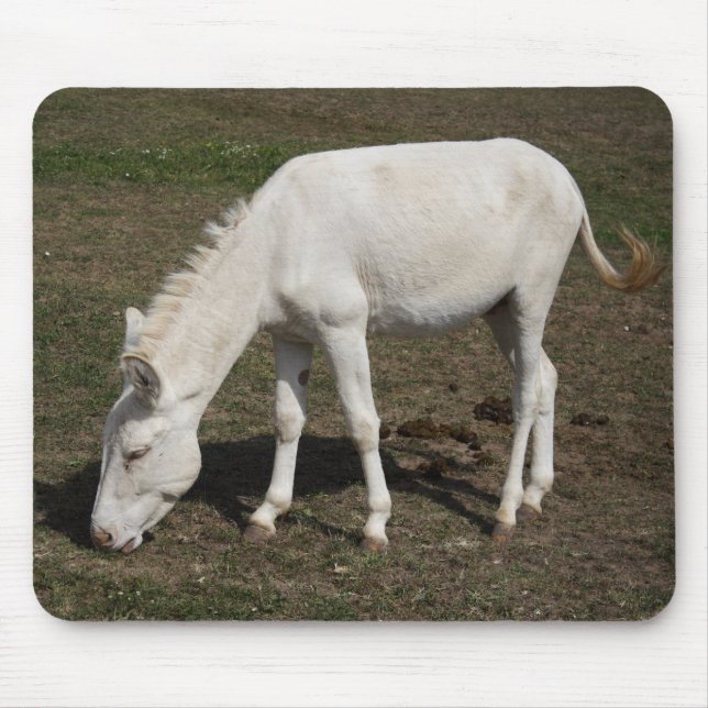 Österrikes-ungersk White Donkey Musmatta (Framsidan)