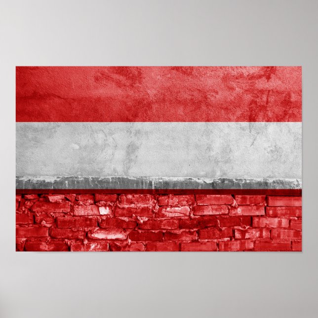 Österrikiska flagga poster (Framsidan)