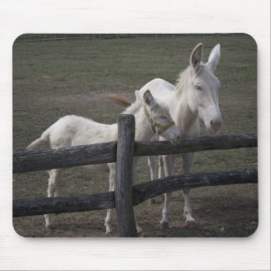 Österrikiska vita Donkey Musmatta