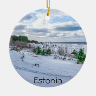 Östersjön kusten som är täckt av snö under vintern julgransprydnad keramik