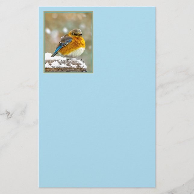Östlig blåmes i snö - Originalfotografi Brevpapper (Framsida)