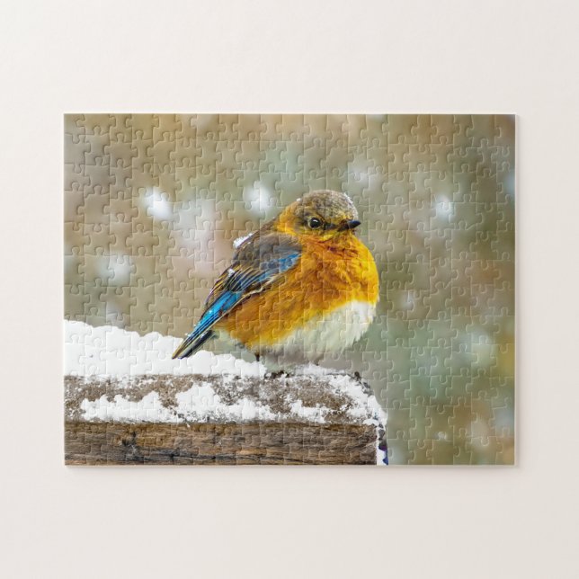 Östlig blåmes i snö - Originalfotografi Pussel (Horisontell)