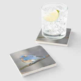 Östlig blåsångarestenkustfartyg stenunderlägg