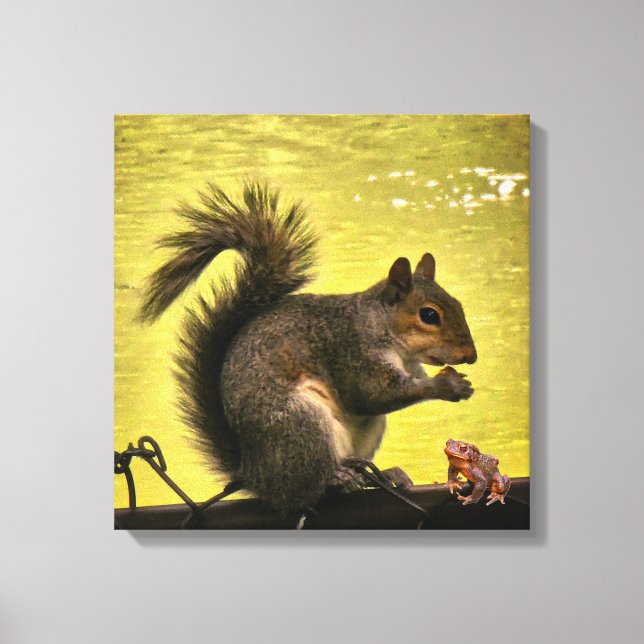 Östlig grå ekorre (Sciurus carolinensis)  Canvastryck (Framsida)