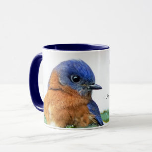 Östlig Matthew för blåsångarekaffemugg 6:26 Mugg